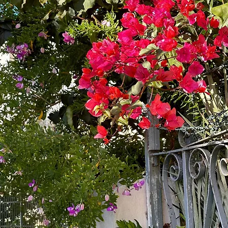 Apartman Casa Perla *